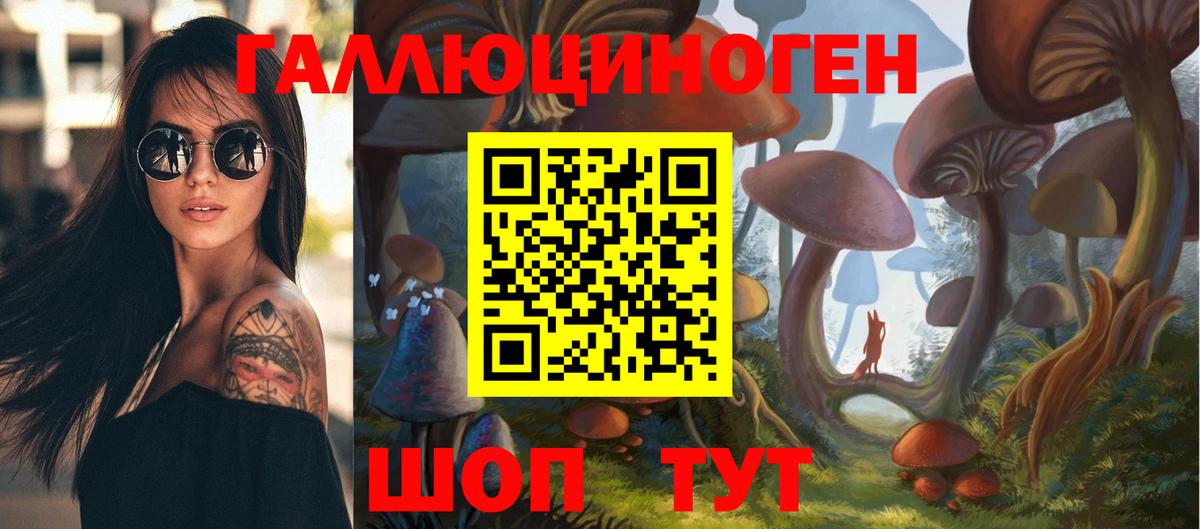 Губкин  купить закладку  Вход с VPN  Галлюциногенные грибы Psilocybine cubensis 
